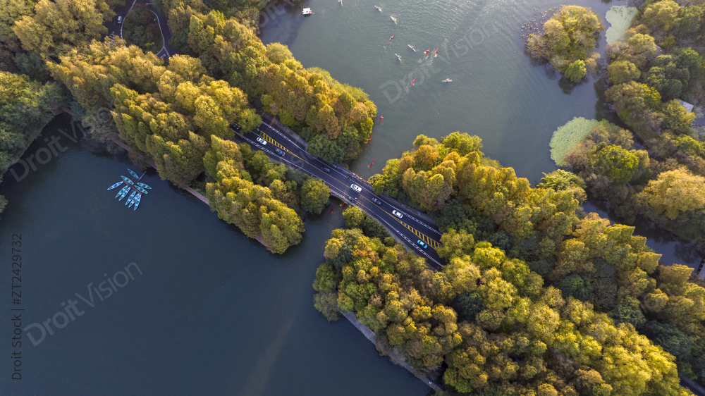 中国杭州西湖杨公堤秋日美景图片