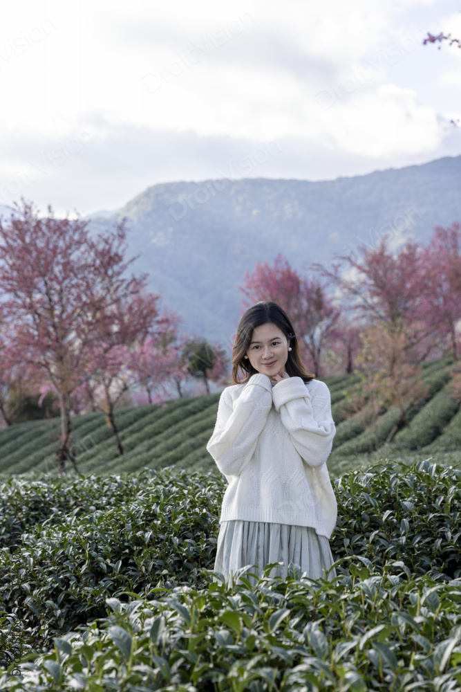 春天在樱花谷花海度假休闲的美女图片