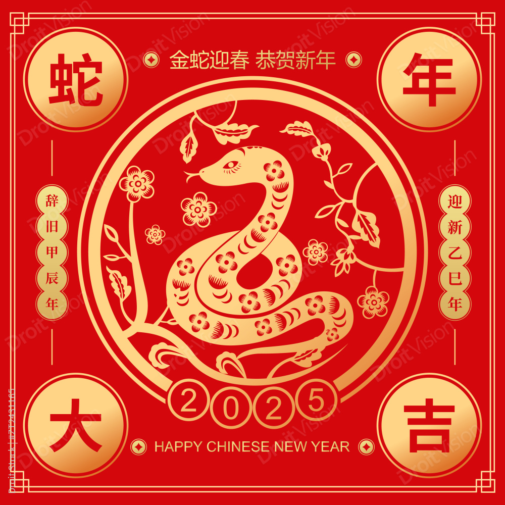 2025蛇年春节十二生肖巳蛇剪纸风格矢量插画海报图片