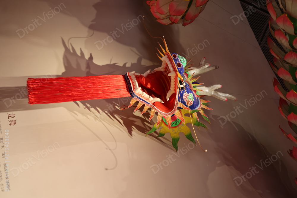 浙江省非遗馆龙年龙舟龙灯图片