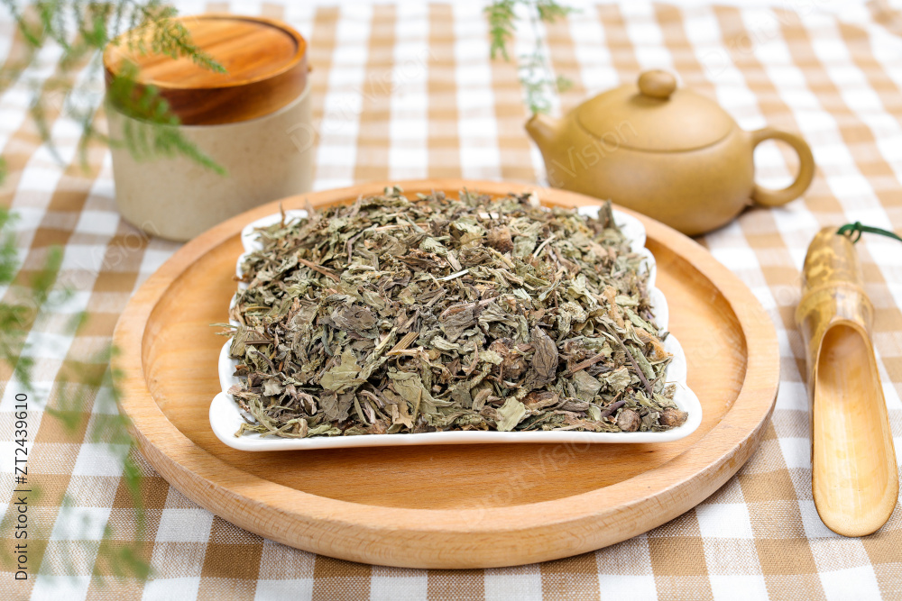 中药材车前草图片