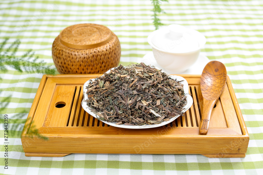 中药材旱莲草图片