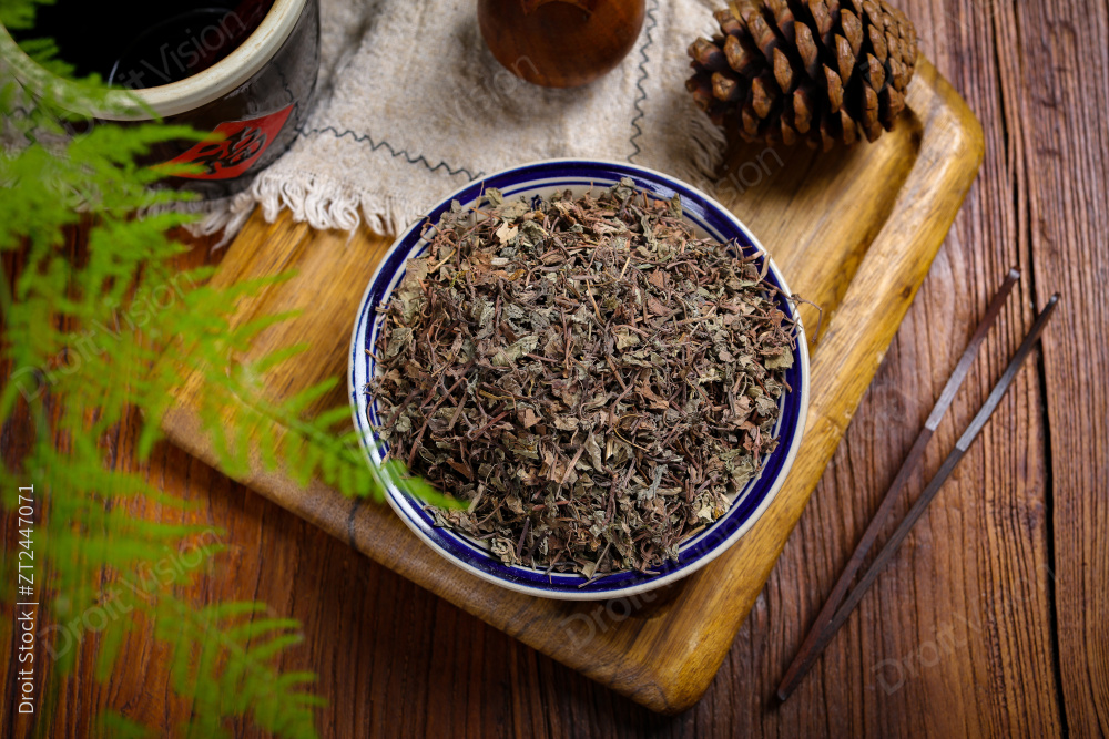 中药材小叶金钱草图片