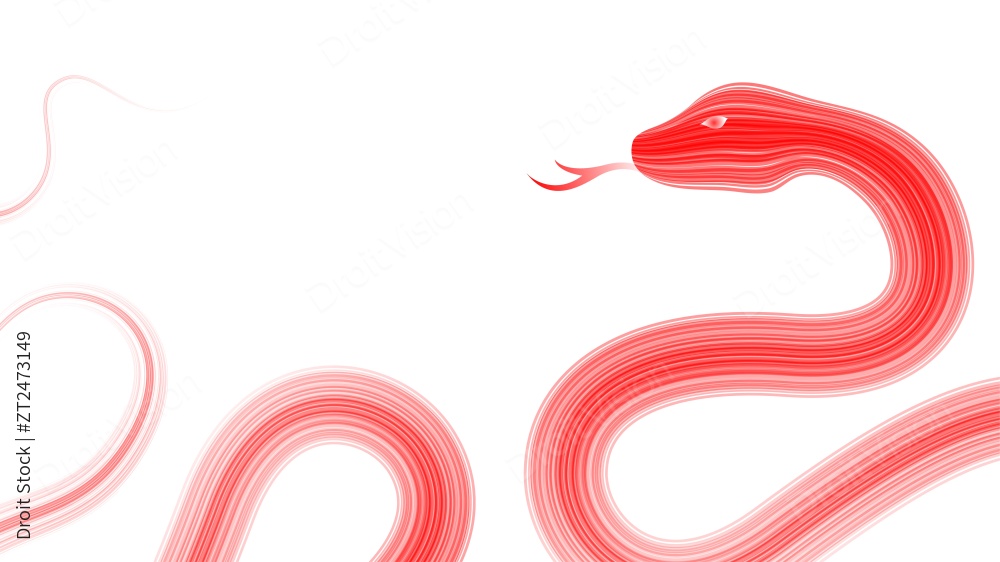 新年蛇年插画图片