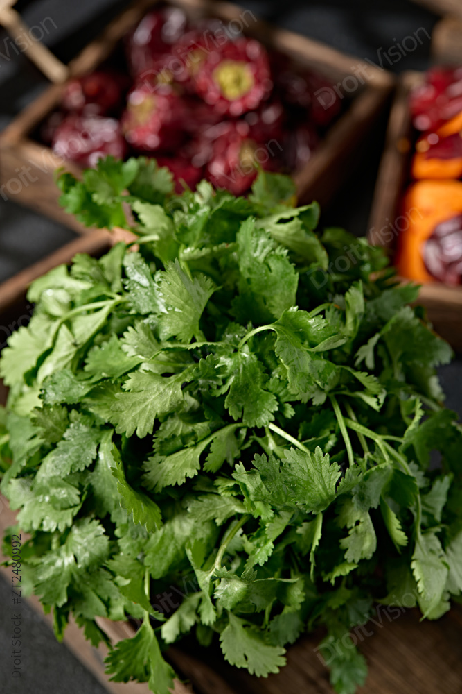 新鲜的火锅食材新鲜香菜图片