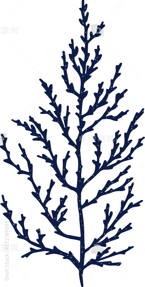 手绘风珊瑚图标素材 - SVG免抠素材图片