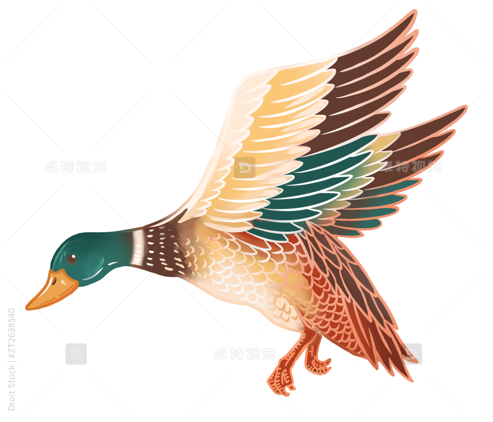 国潮鸭子手绘元素插画图片