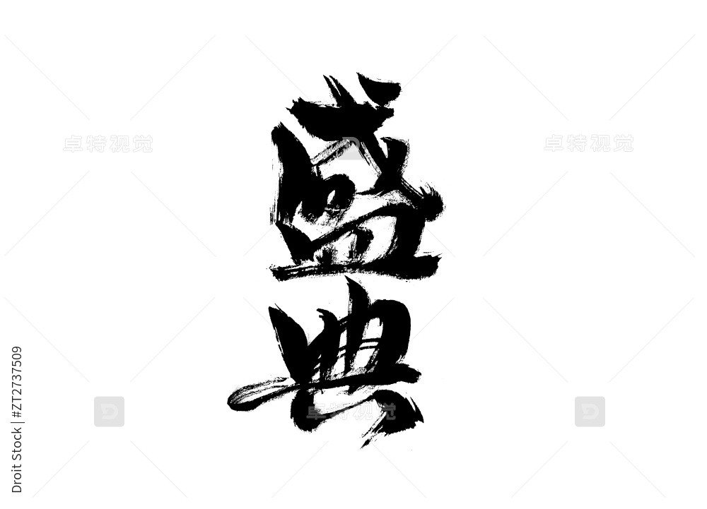 购物狂欢节手写书法字体图片