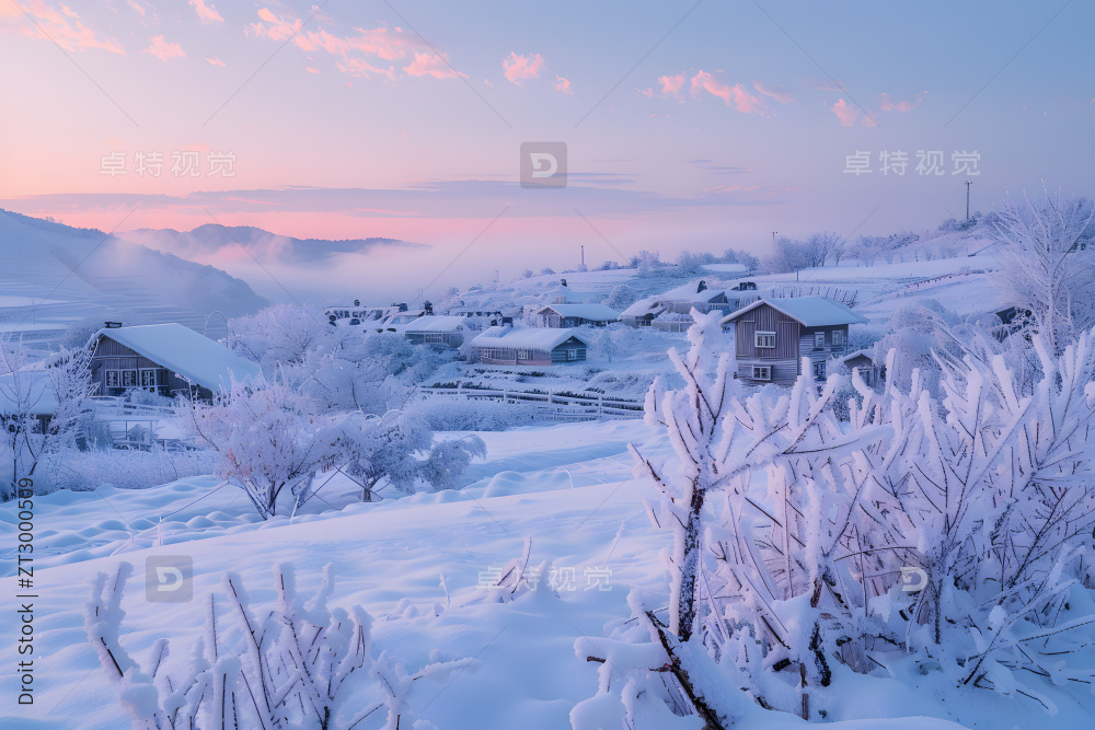 远处有一座小村庄和几棵树的雪景图片