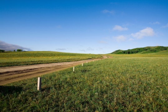 内蒙,坝上,乌兰木统,乌兰木统草原,红山,军马场,草原,草地,