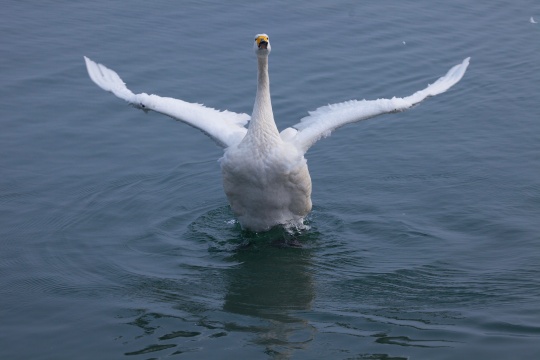 山东 烟台 烟墩角