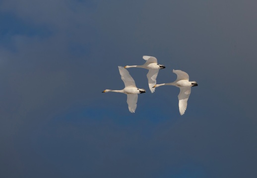 山东 烟台 烟墩角