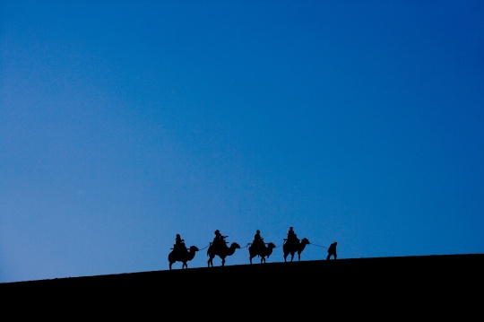 沙漠中骑骆驼的人群