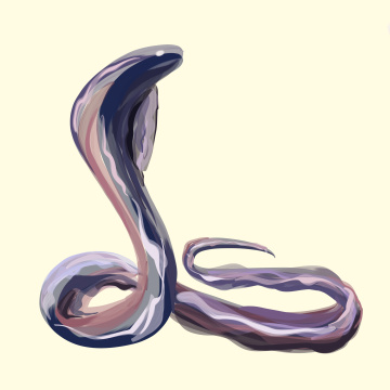 手绘涂鸦风蛇装饰画