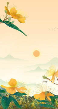 二十四节气之芒种-芒种花