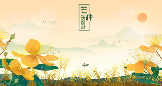 二十四节气之芒种-芒种花