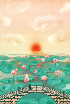 夕阳下的荷花荷叶连成片