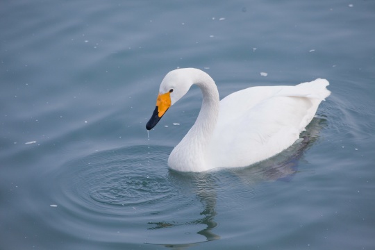 山东 烟台 烟墩角