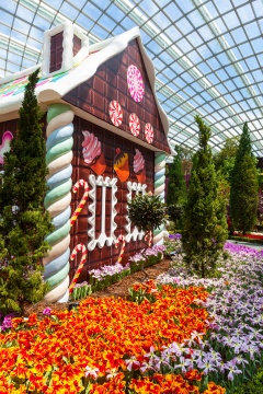 新加坡滨海湾花园