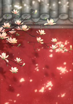 故宫红墙旁的玉兰花