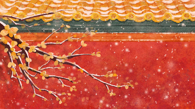 大雪中故宫红墙边梅花盛开