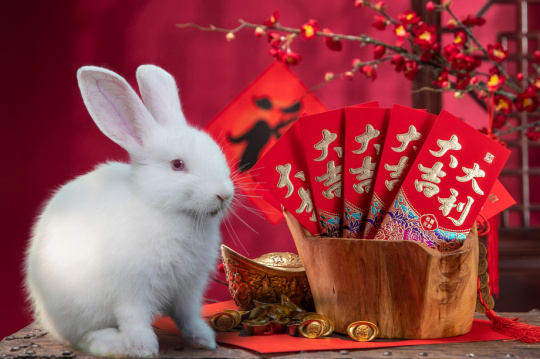 兔年大吉