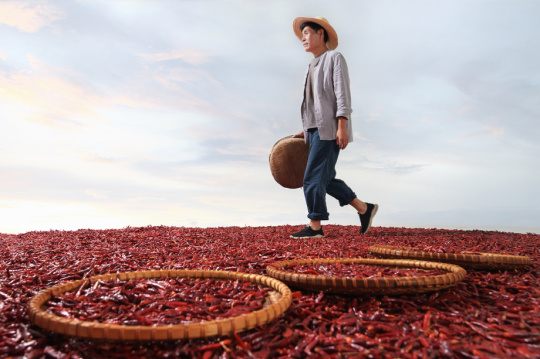 农民从红辣椒地上走过
