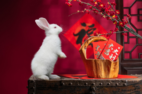 兔年大吉