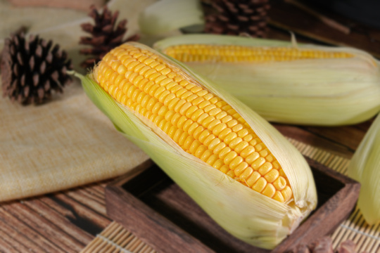 桌子上的玉米
