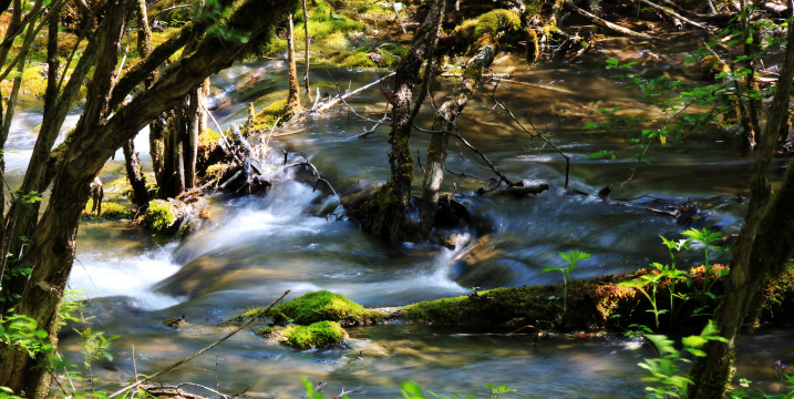 中国九寨沟原生态旅游风景名胜区