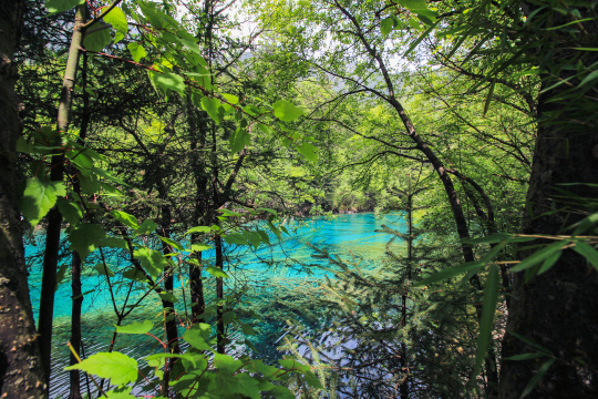 中国九寨沟原生态旅游风景名胜区