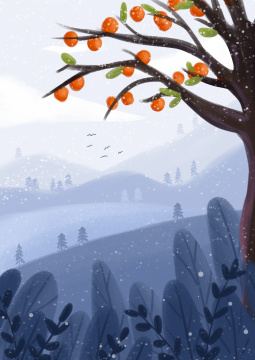 节气柿子树霜降秋天冬天插画