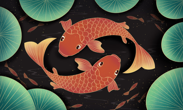 锦鲤鱼群荷叶简洁手绘插画