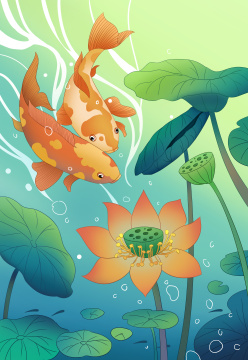 传统中国风荷花锦鲤手绘插画