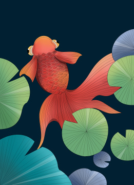 传统中国风荷叶金鱼手绘插画