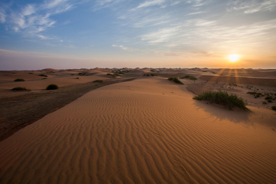内蒙古沙漠风光