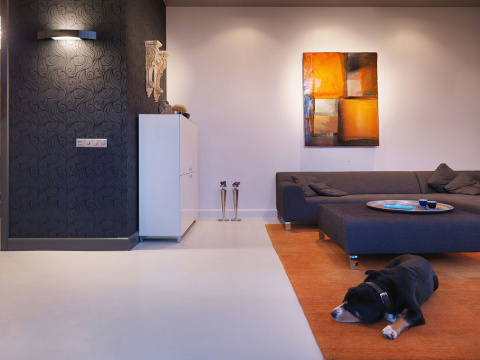 Contemporary living room with dog resting on rug at home