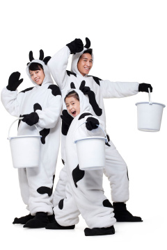 创意奶牛家庭和牛奶桶