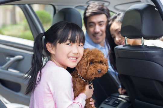 快乐的年轻家庭和宠物狗坐在汽车里