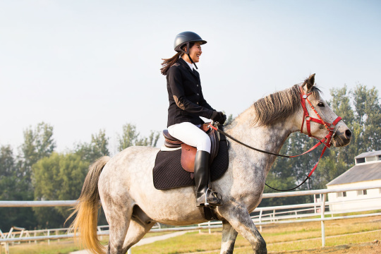 年轻女子骑马