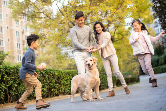 快乐的年轻家庭和狗玩耍