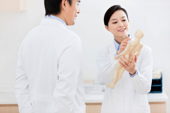 医生与解剖模型