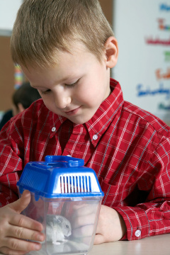 小男孩与小仓鼠