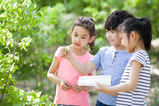 儿童在树林里采集树叶做标本