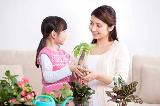 幸福母女和绿植