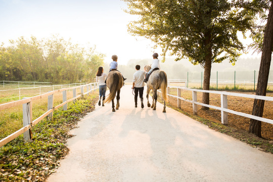 年轻父母教儿女骑马