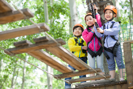 快乐的孩子们挑战树上穿越项目