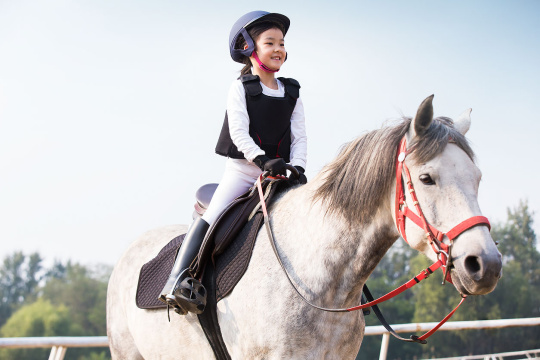 快乐的小女孩骑马