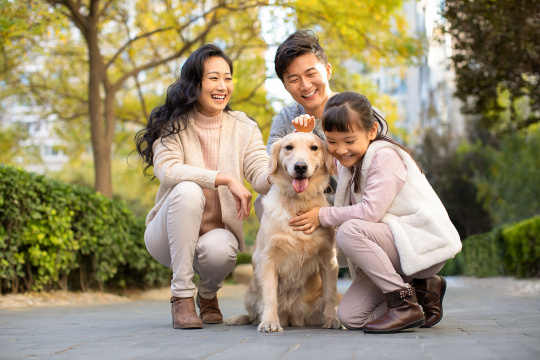 快乐的年轻家庭和狗玩耍
