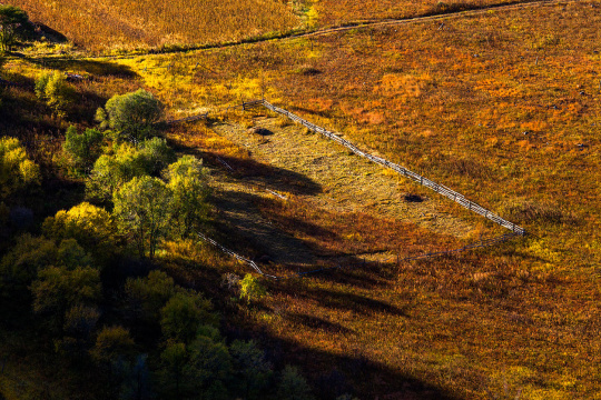 内蒙古金色草原